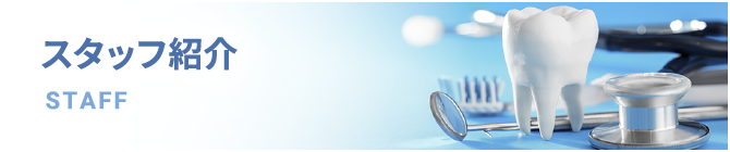 スタッフ紹介